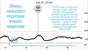 Blood glucose response to insulin is stronger and steady overnight without insulin when stress levels drop.